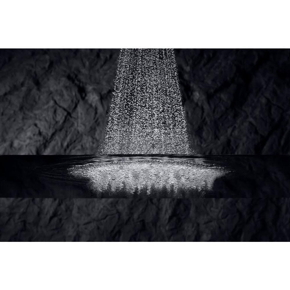 Oil-Rubbed Bronze Multifunction Handshower Y276812