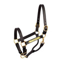 Engraved Leather Show Halter Horse Black B49515