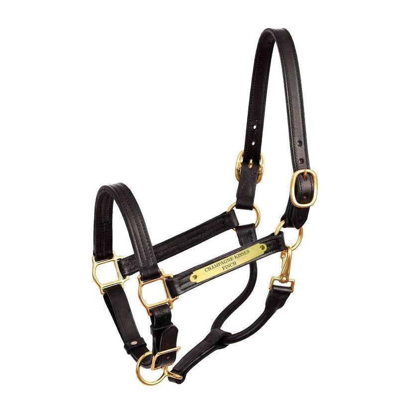 Engraved Leather Show Halter Horse Black B49515