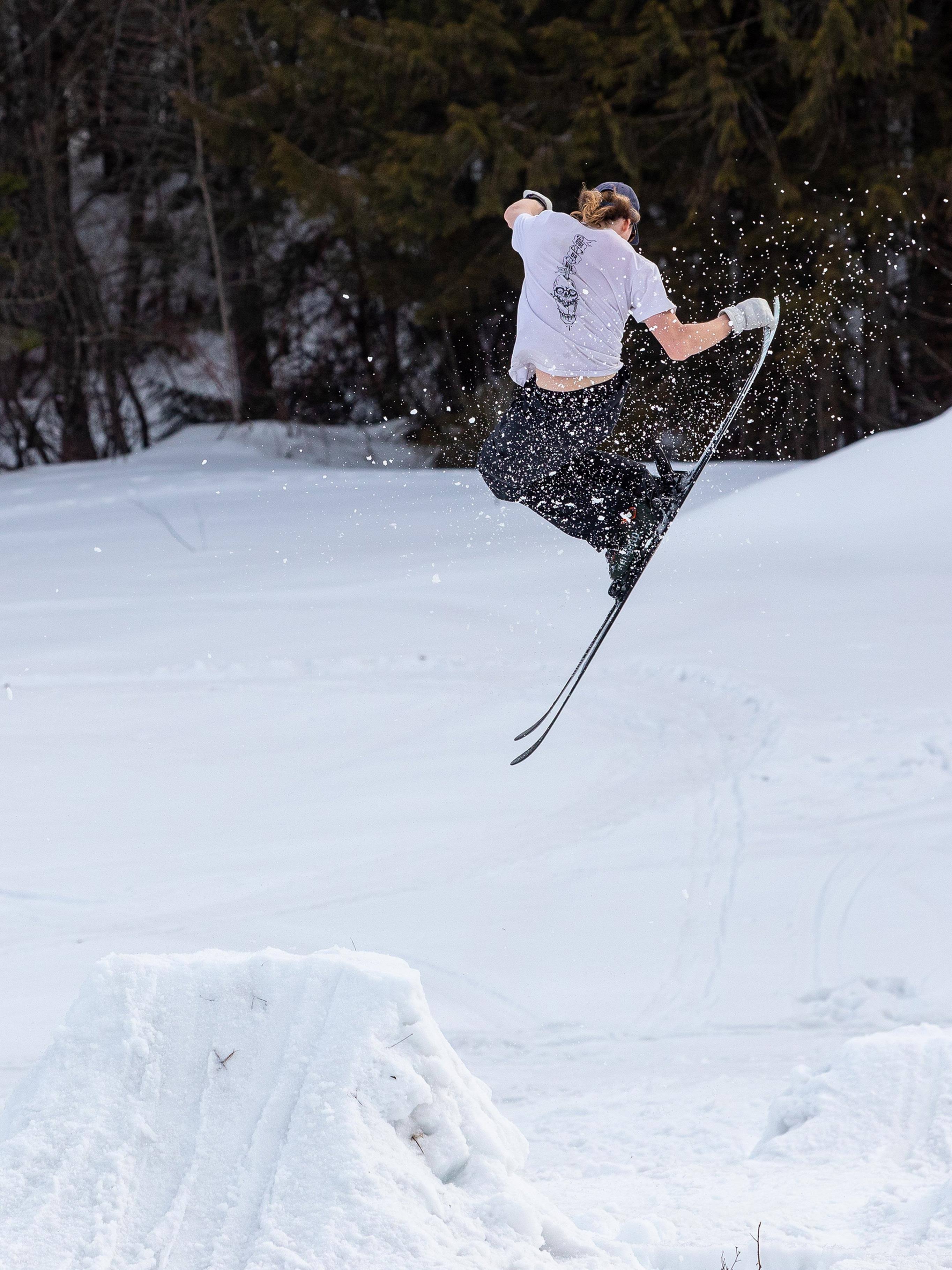 Francis Bacon Skis A1604