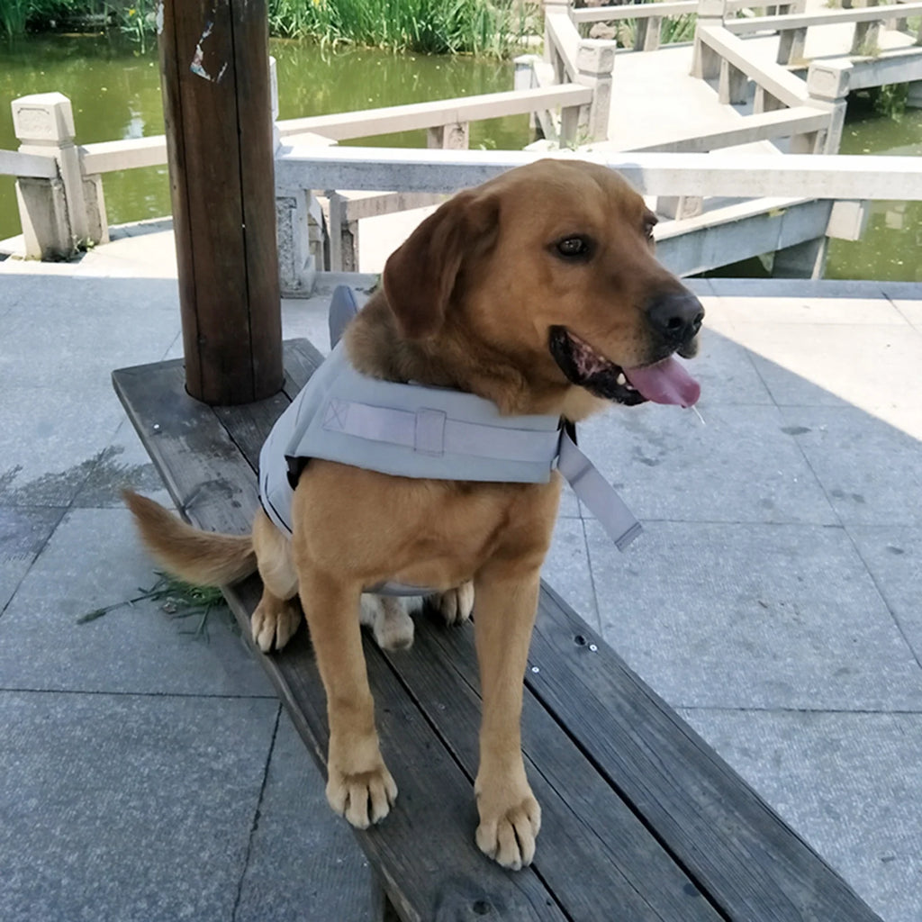 Dog Pet Shark Swimsuit Vest Safety Wear I5955