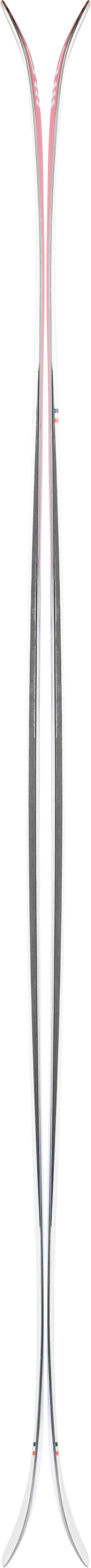 Francis Bacon Skis A1604
