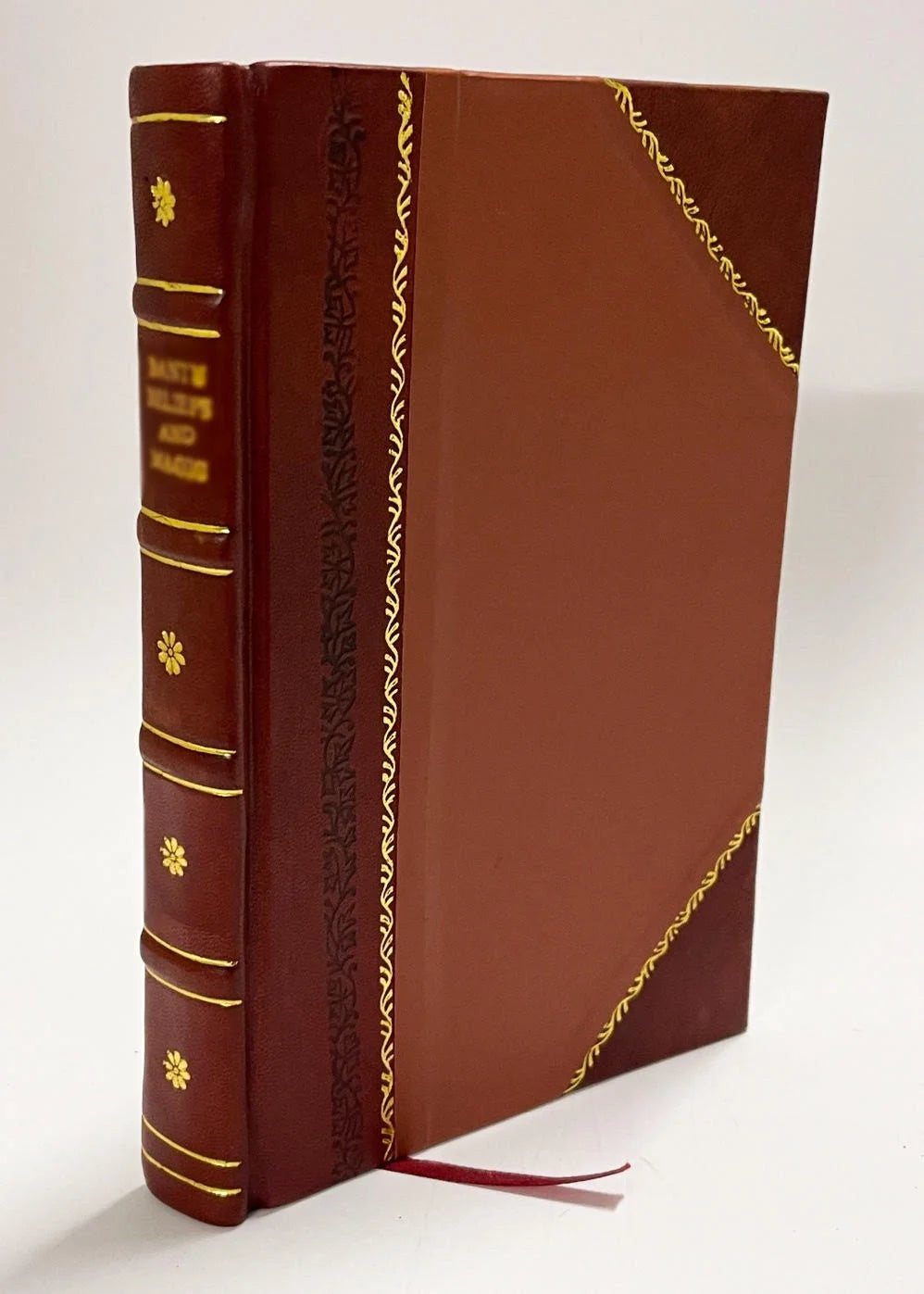Impressions of a First Tour Round the World, in 1883 and 1884 : Embracing Travels in Europe, the United States of America, Canada, Japan, China, the Straits Settlements, and the (1889) [Leather Bound] W772