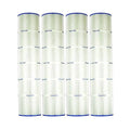 Replacement Cartridge for Pentair Clean and Clear Plus 520 R49549