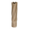 20mm x 50mm Carbide Tip Annular Cutter Y36406