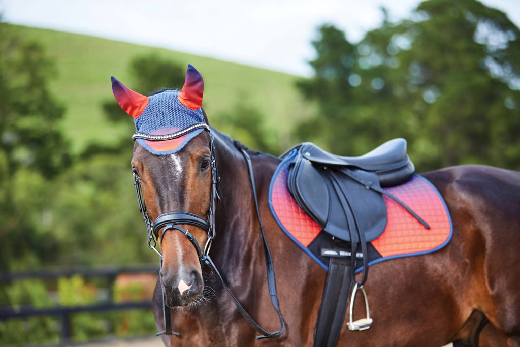 Pony Ombre Jump Saddle Pad U3155