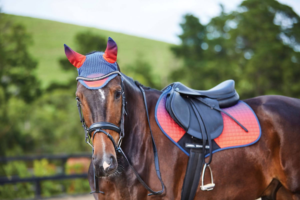 Pony Ombre Jump Saddle Pad U3155