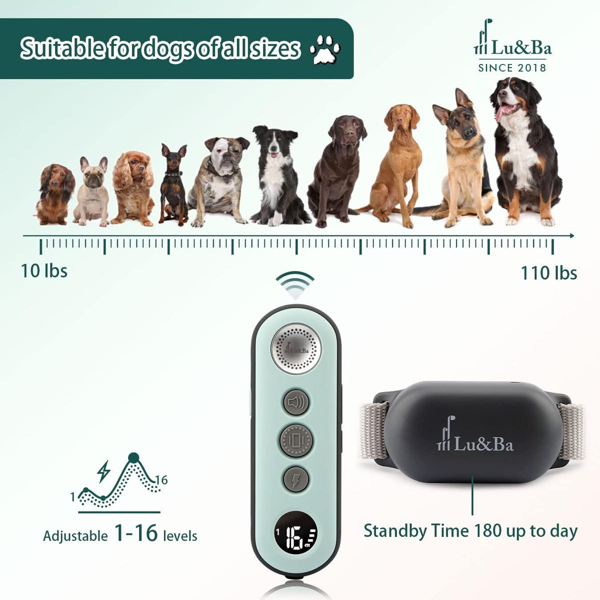 Rechargeable Waterproof Dog Training Collar Pack of 2 K431229