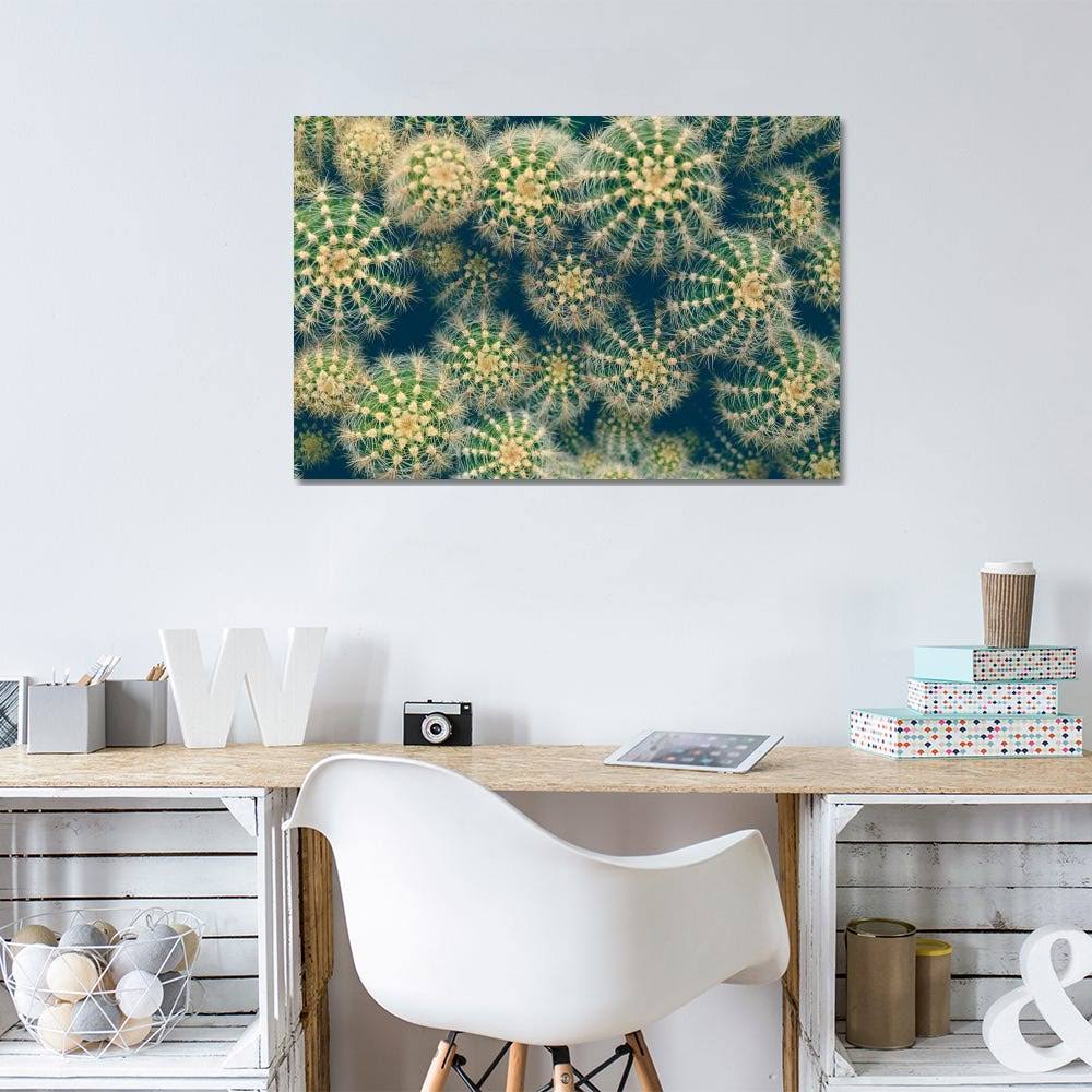 Canvas Prints Cactus W2514