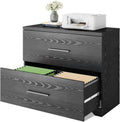 Gray Oak 2 Drawer Wood Lateral File Cabinet S50166
