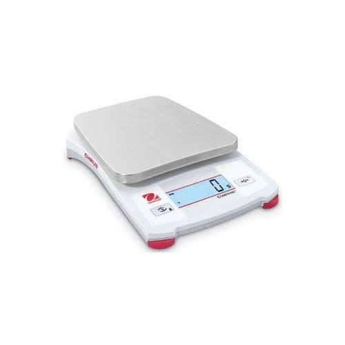 Portable Scale X2943
