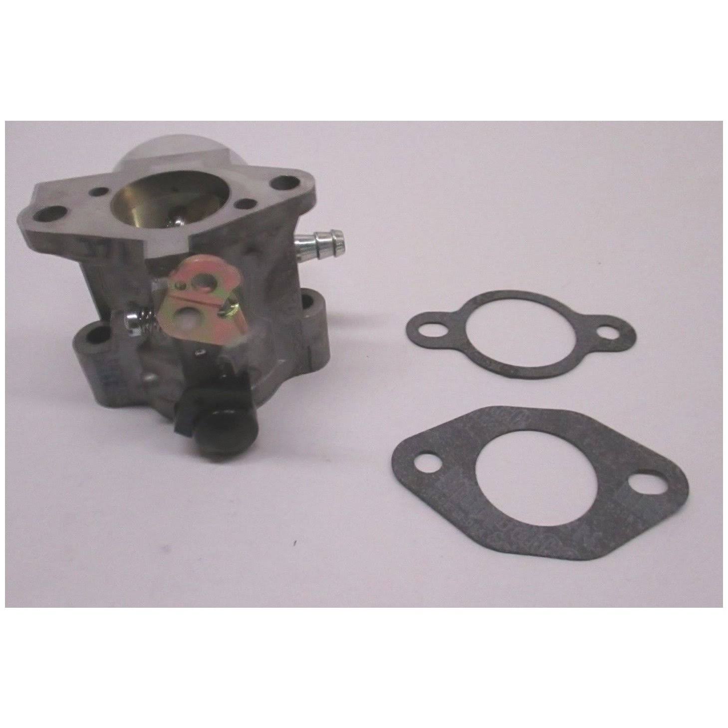 Carburetor Kit with Gaskets K243