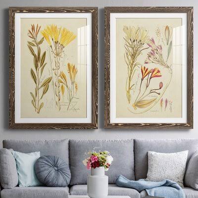 Antique Botanical Sketch Framed Print I227232
