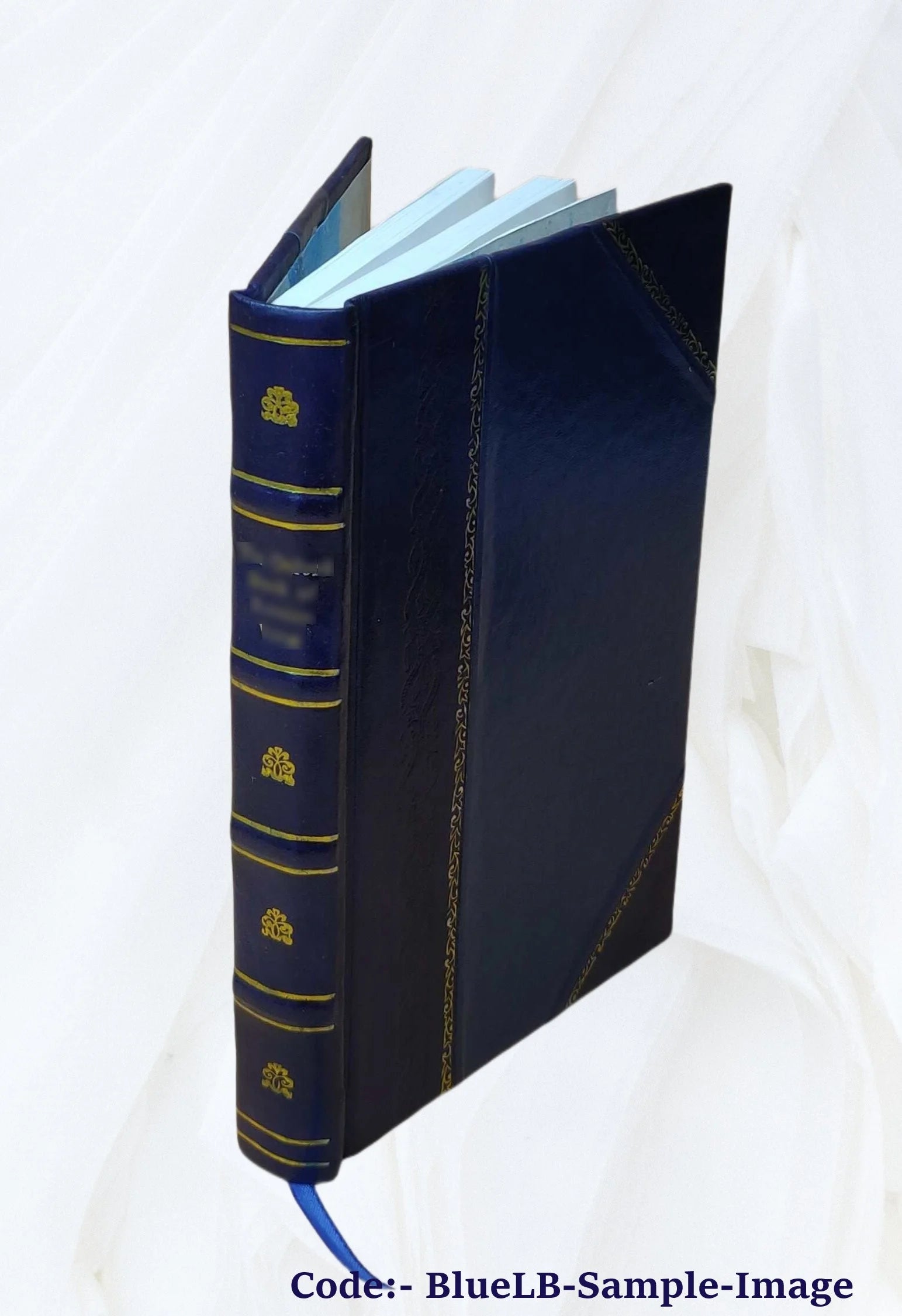 Leather Bound Book J123784