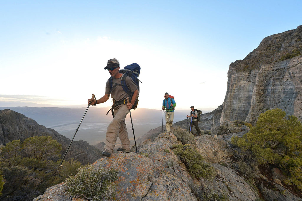 CarbonLite Pro Trekking Poles S574