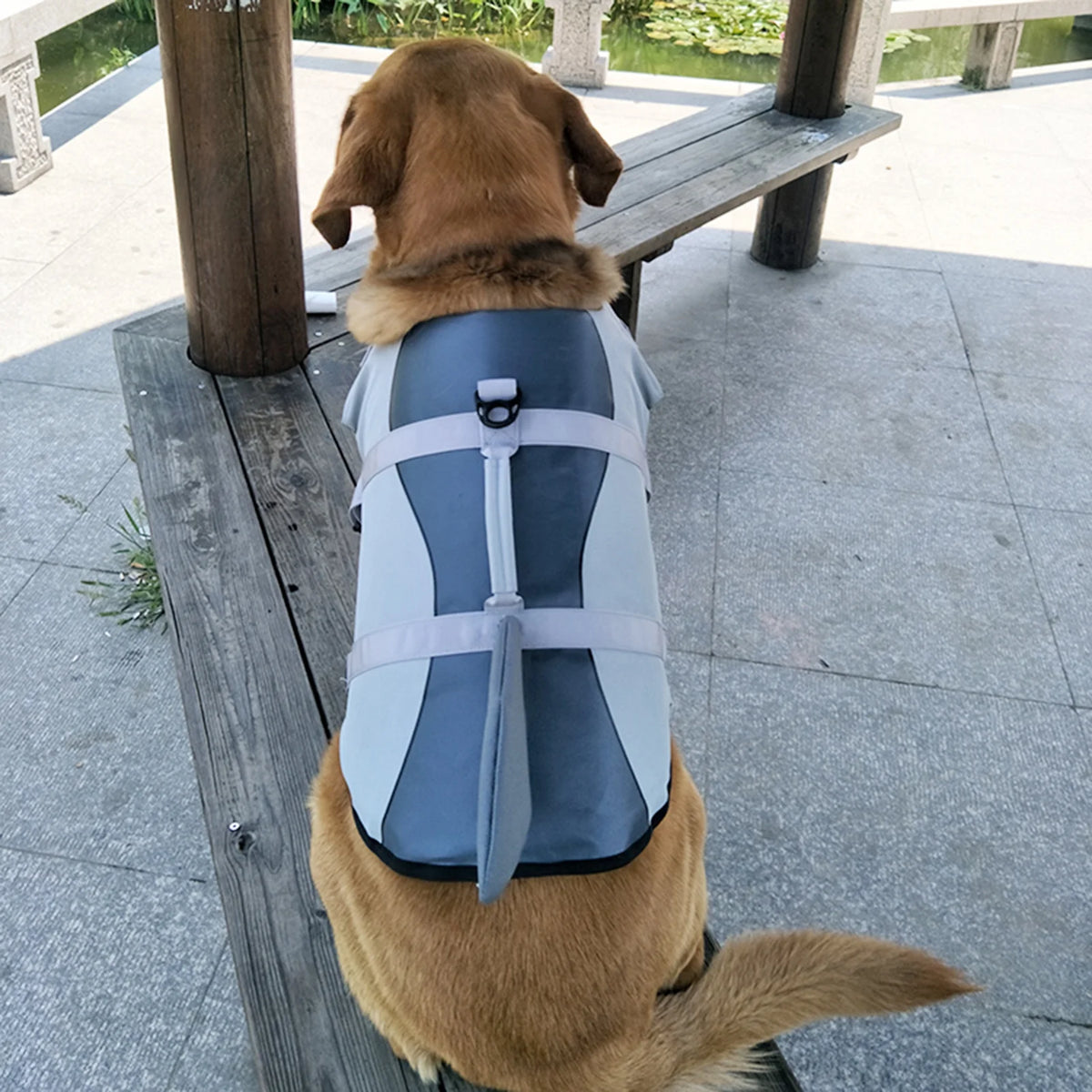 Dog Pet Shark Swimsuit Vest Safety Wear I5955