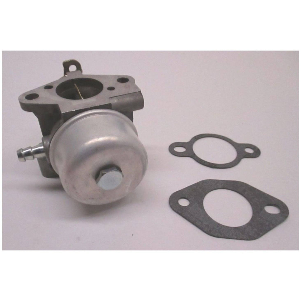 Carburetor Kit with Gaskets K243