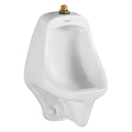 Wall Mount Urinal W20171