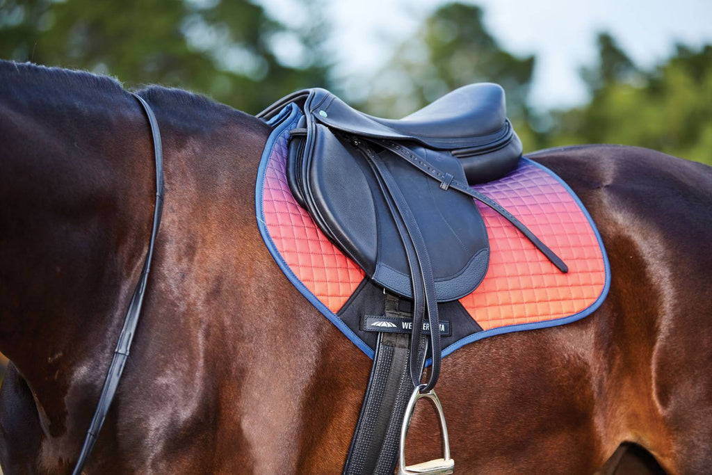 Pony Ombre Jump Saddle Pad U3155