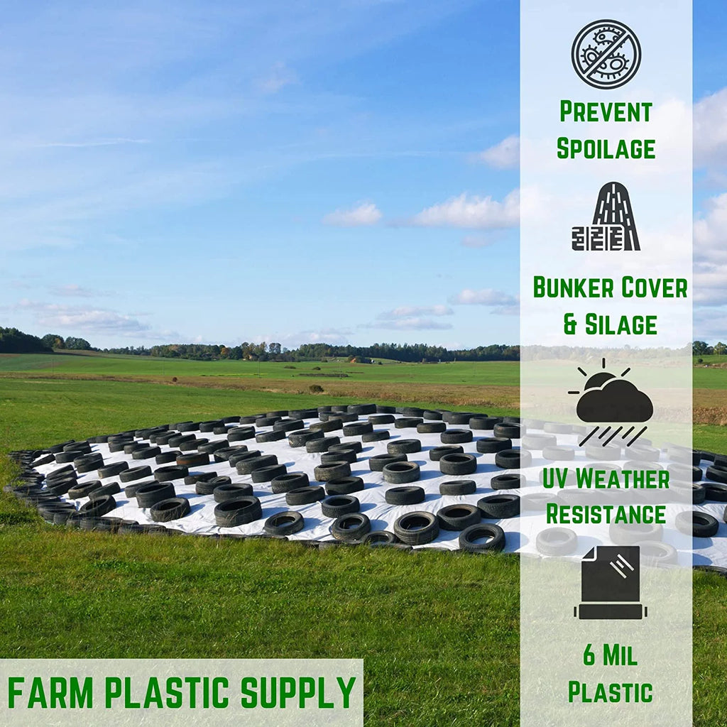 Black/White 6 Mil Polyethylene Plastic Tarp A2452
