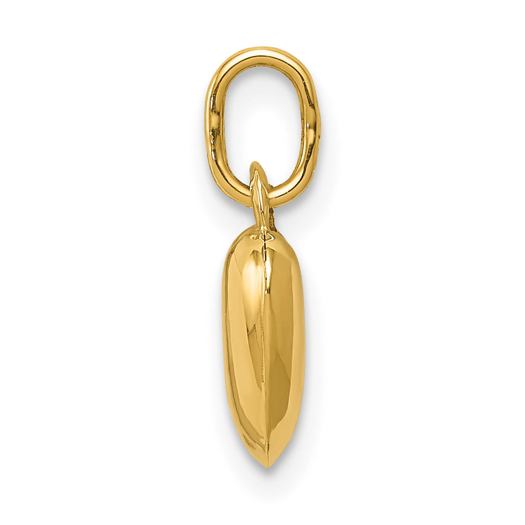 14K Yellow Gold Polished Puffed Heart Pendant Charm with 10K Yellow Gold Rope Chain Necklace 20'' V217289