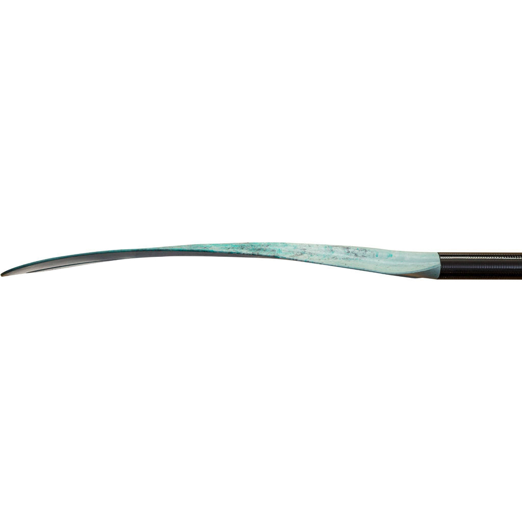 Kayak Paddle 250 cm V573