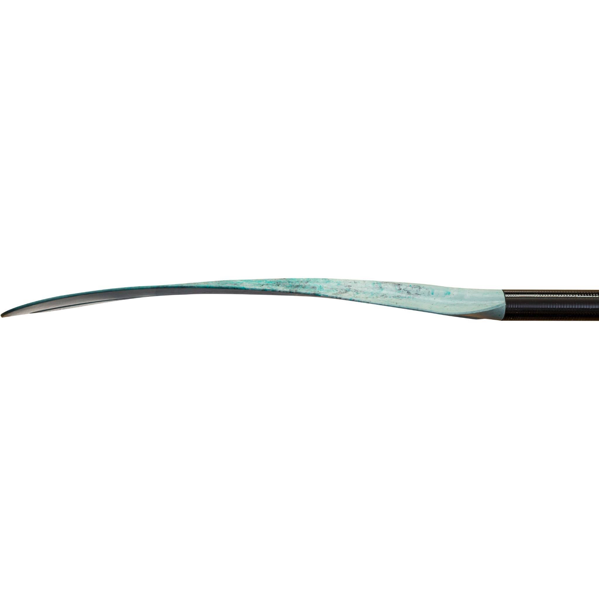 Kayak Paddle 250 cm V573