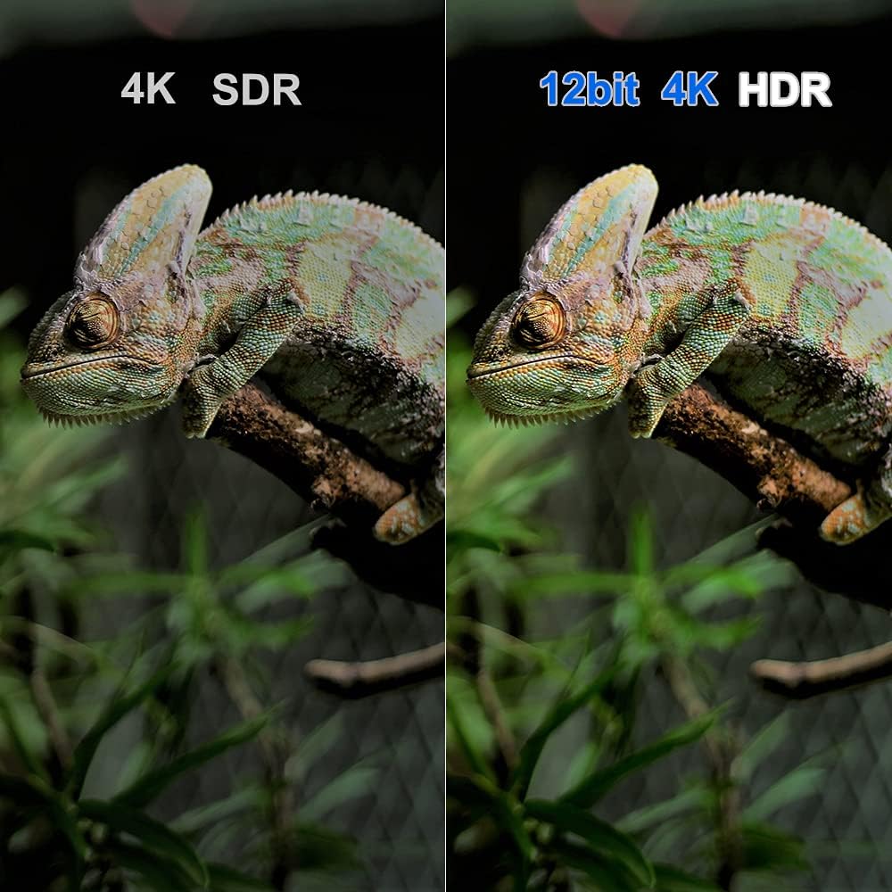 4K Media Player Android TV Box with HDR10+ Q115141