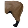 African Lion Rear V293370