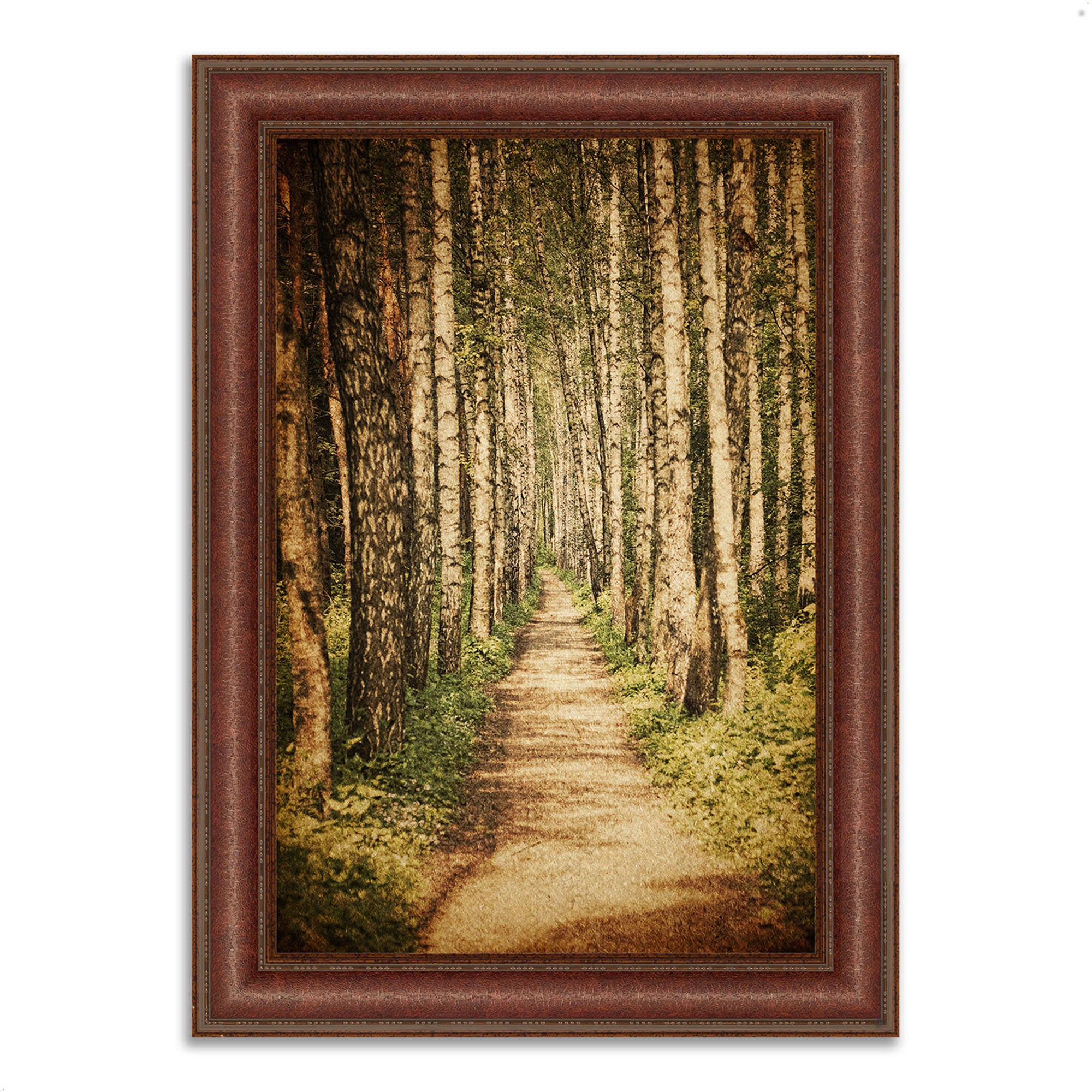 Framed Photograph Print Y1938