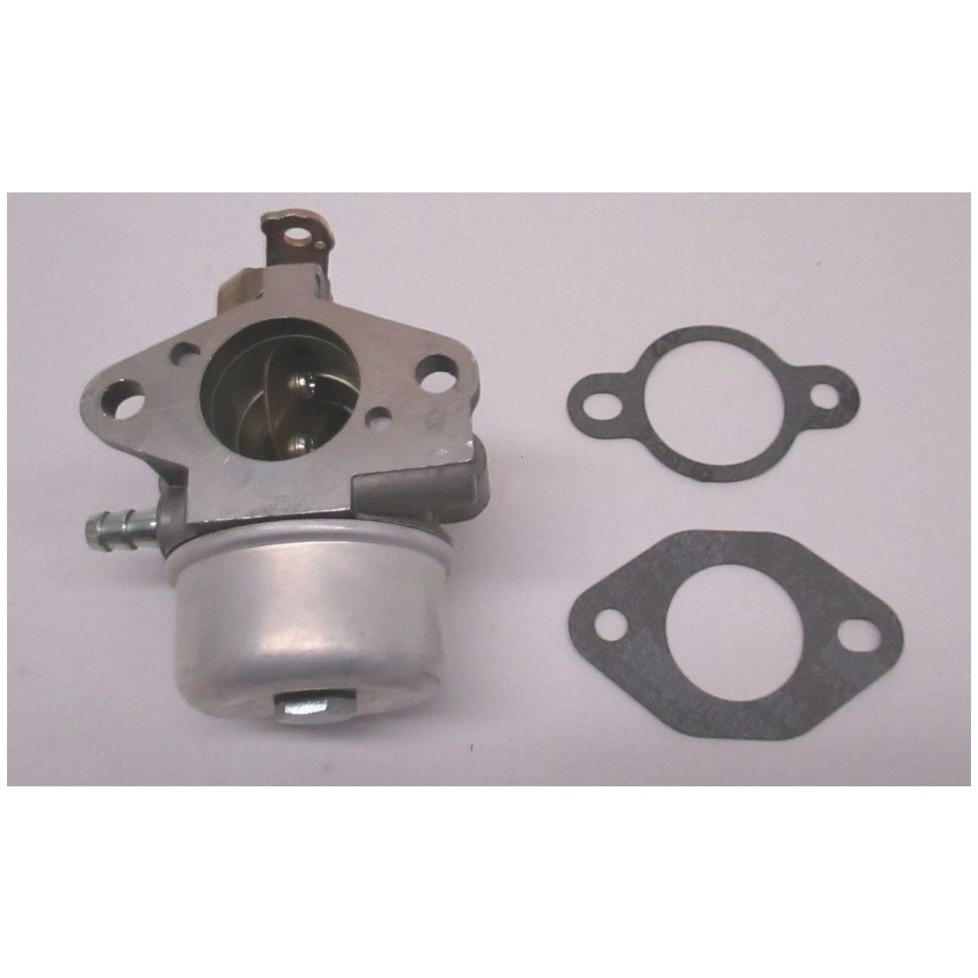 Carburetor Kit with Gaskets K243