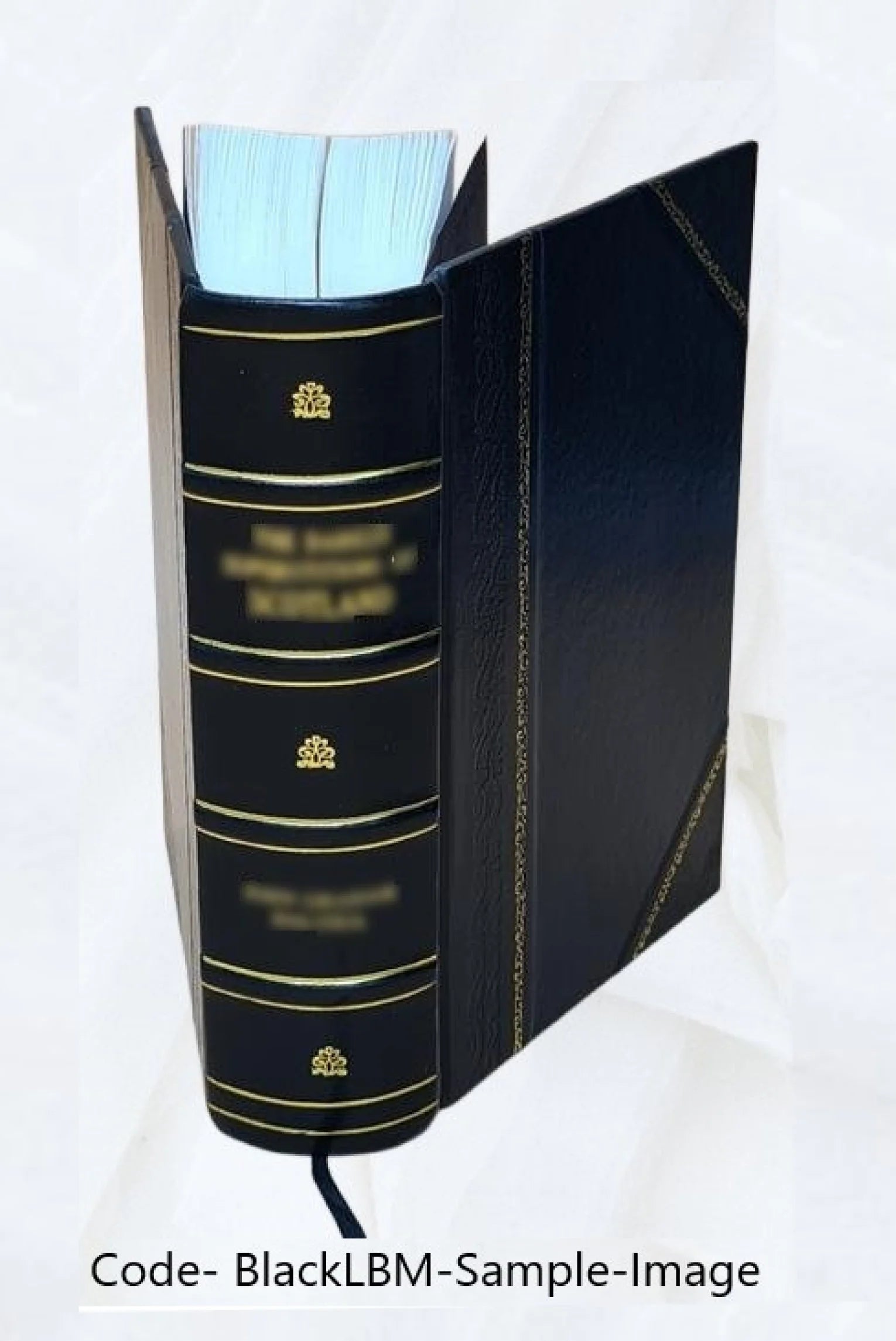 Leather Bound Book K4297