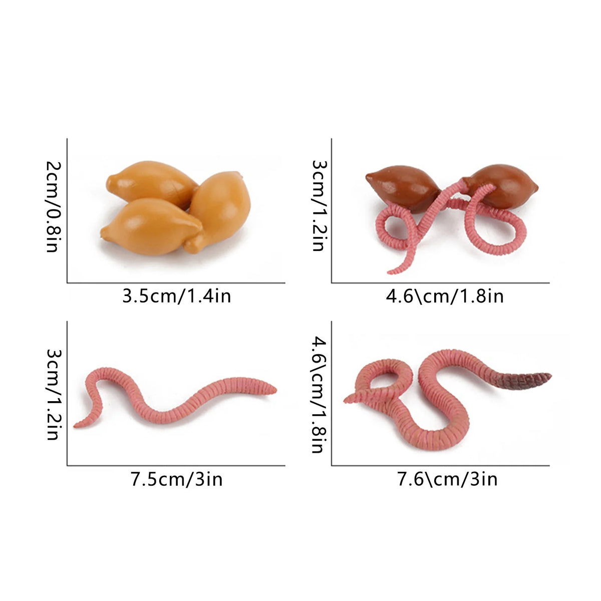 4 Piece Insect Animal Life Cycle Plastic Figures O31123