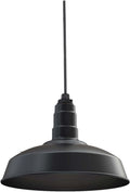 Matte Black Steel Ceiling Mounted Pendant Light V357