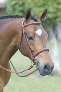Medium Brown Padded Show Bridle A845