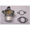 Carburetor Kit with Gaskets K243