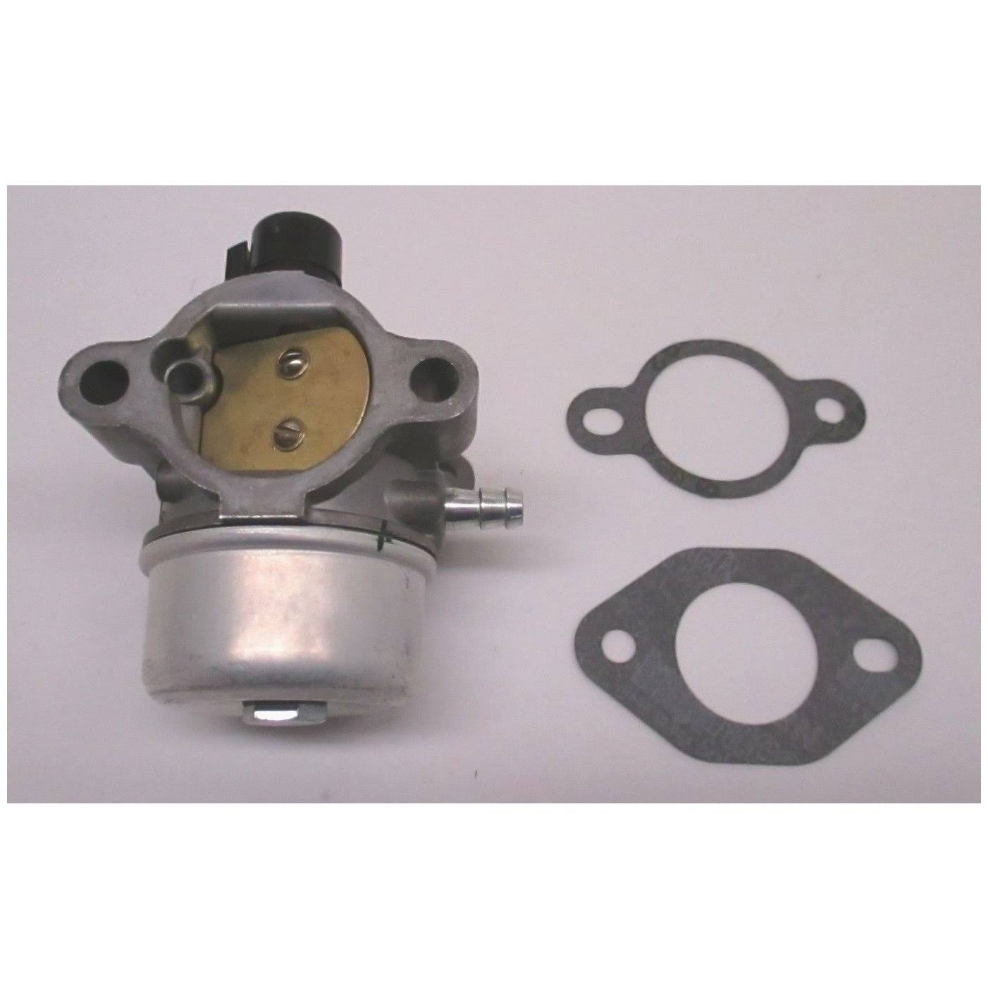 Carburetor Kit with Gaskets K243