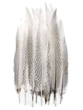 50 Pieces Natural Pheasant Tail Feathers P287244