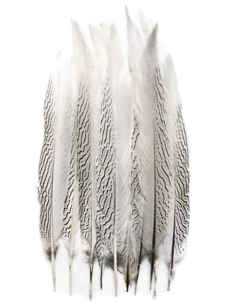 50 Pieces Natural Pheasant Tail Feathers P287244
