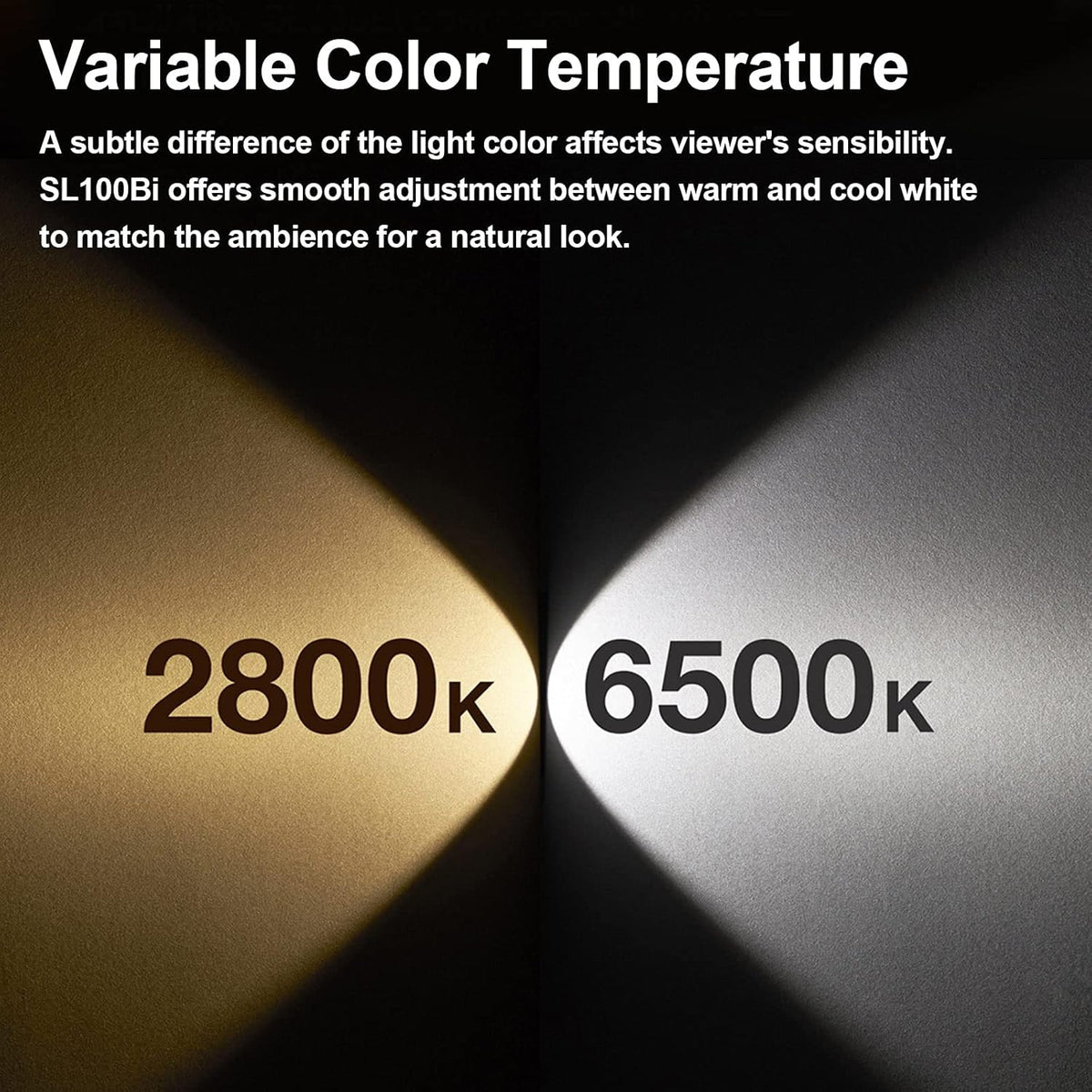100W CRI96+ TLCI97+ LED Video Light R99559