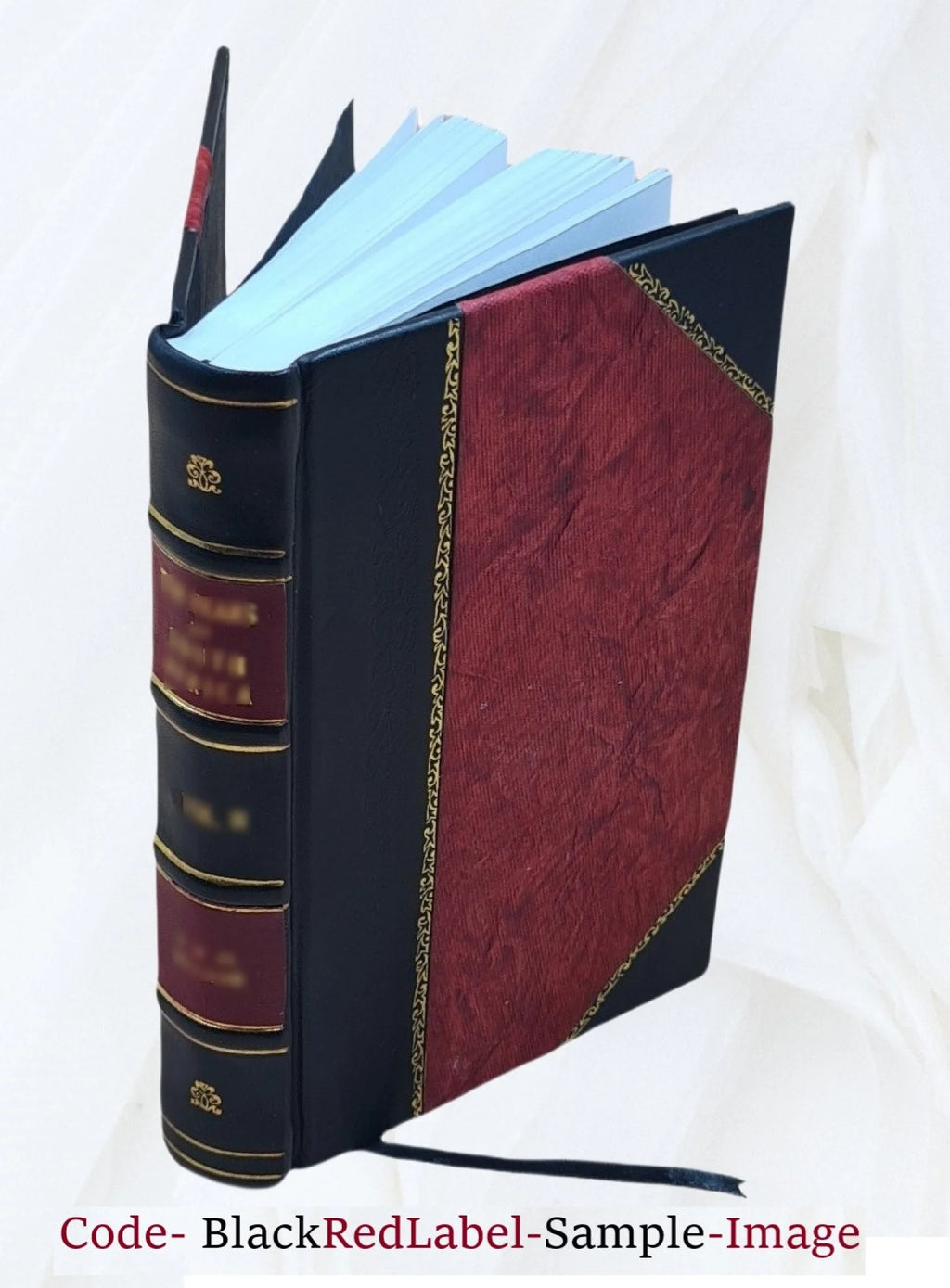 Leather Bound Book X91301
