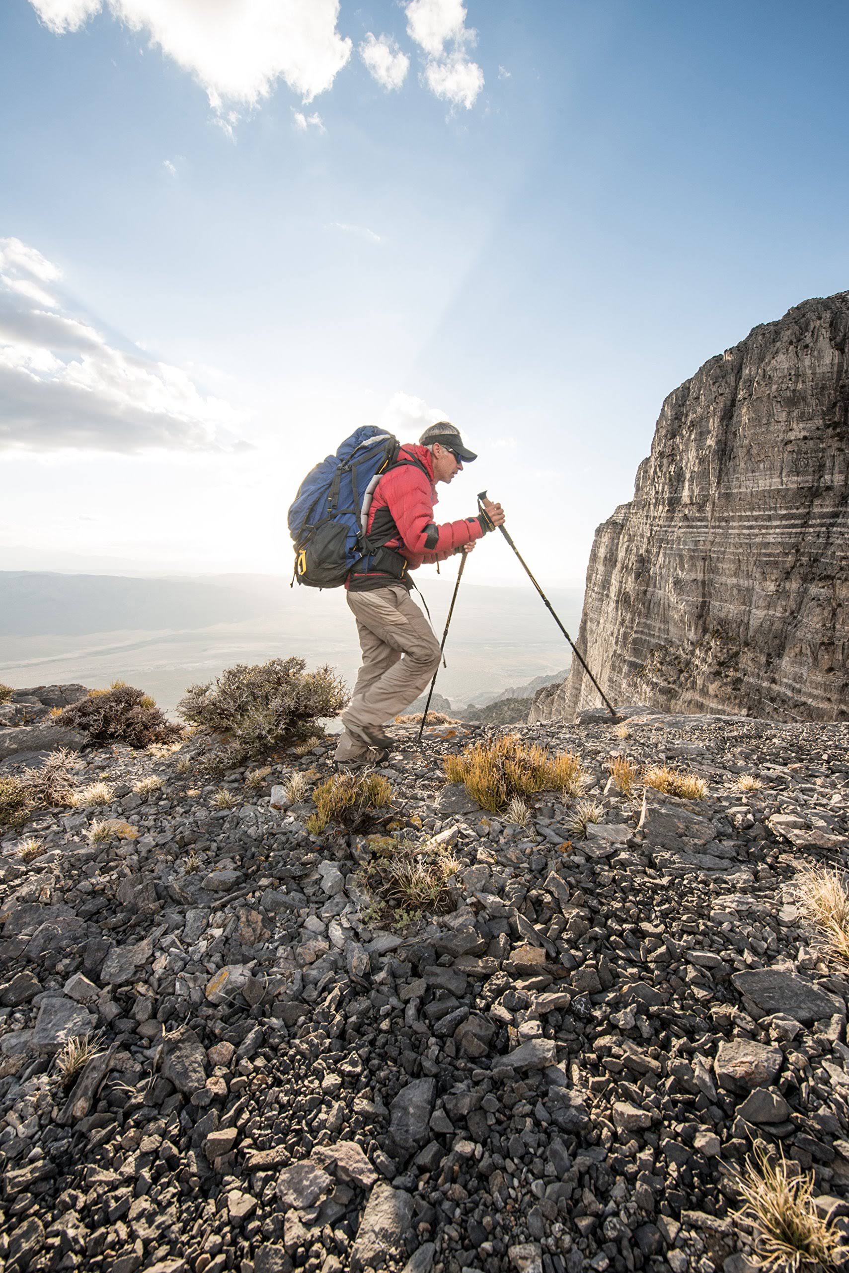 CarbonLite Pro Trekking Poles S574