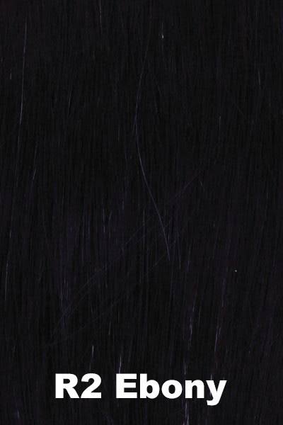 Gradient Smoke Wig R3864